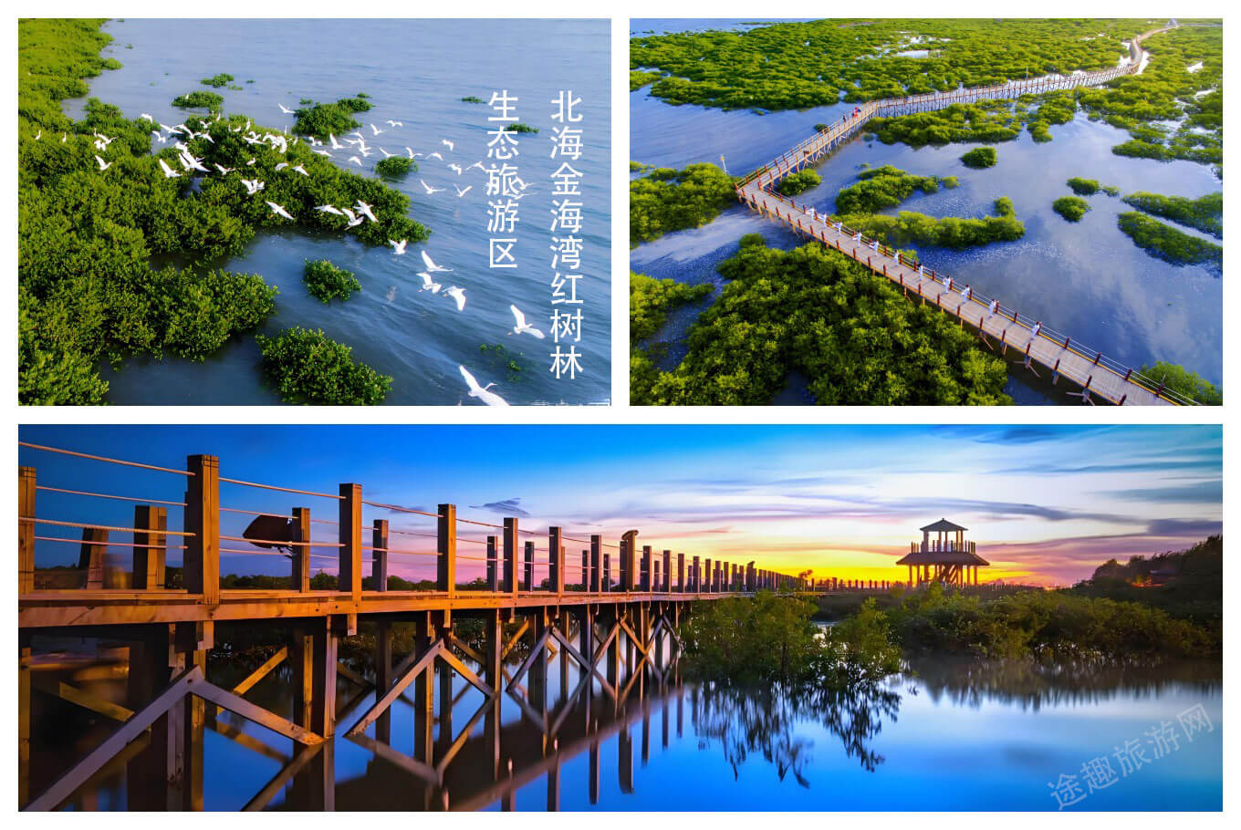 北海金海湾红树林生态旅游区.jpg