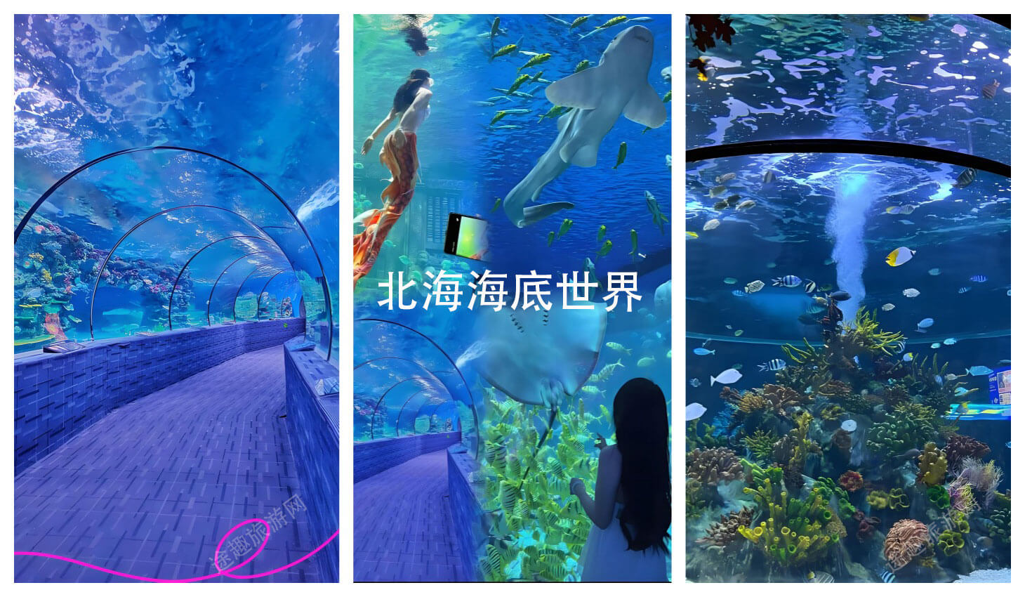 北海海底世界.jpg