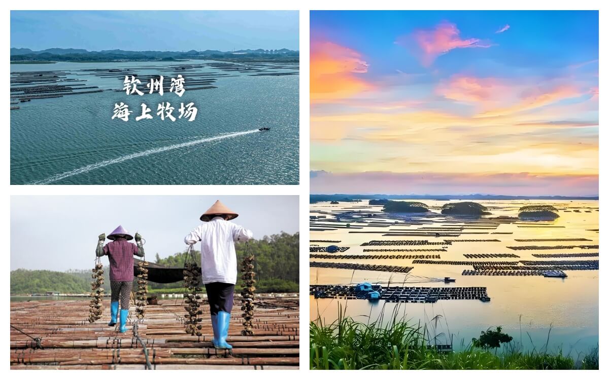 钦州蚝排部落.jpg