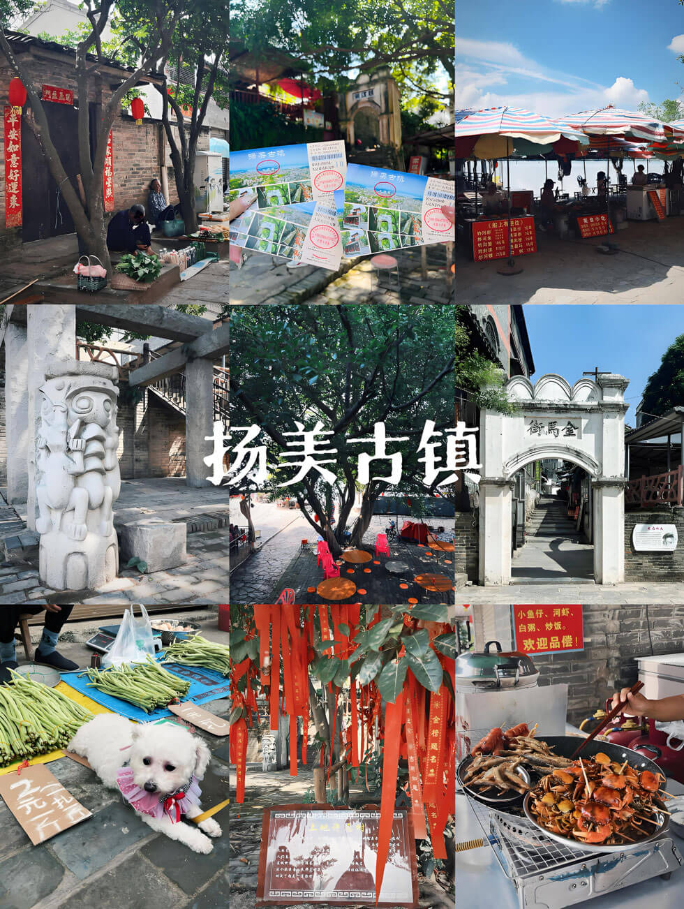 扬美古镇.jpg