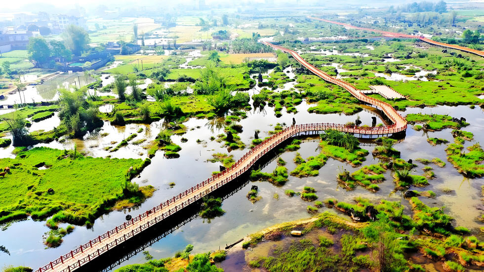 澄江国家湿地公园.jpg