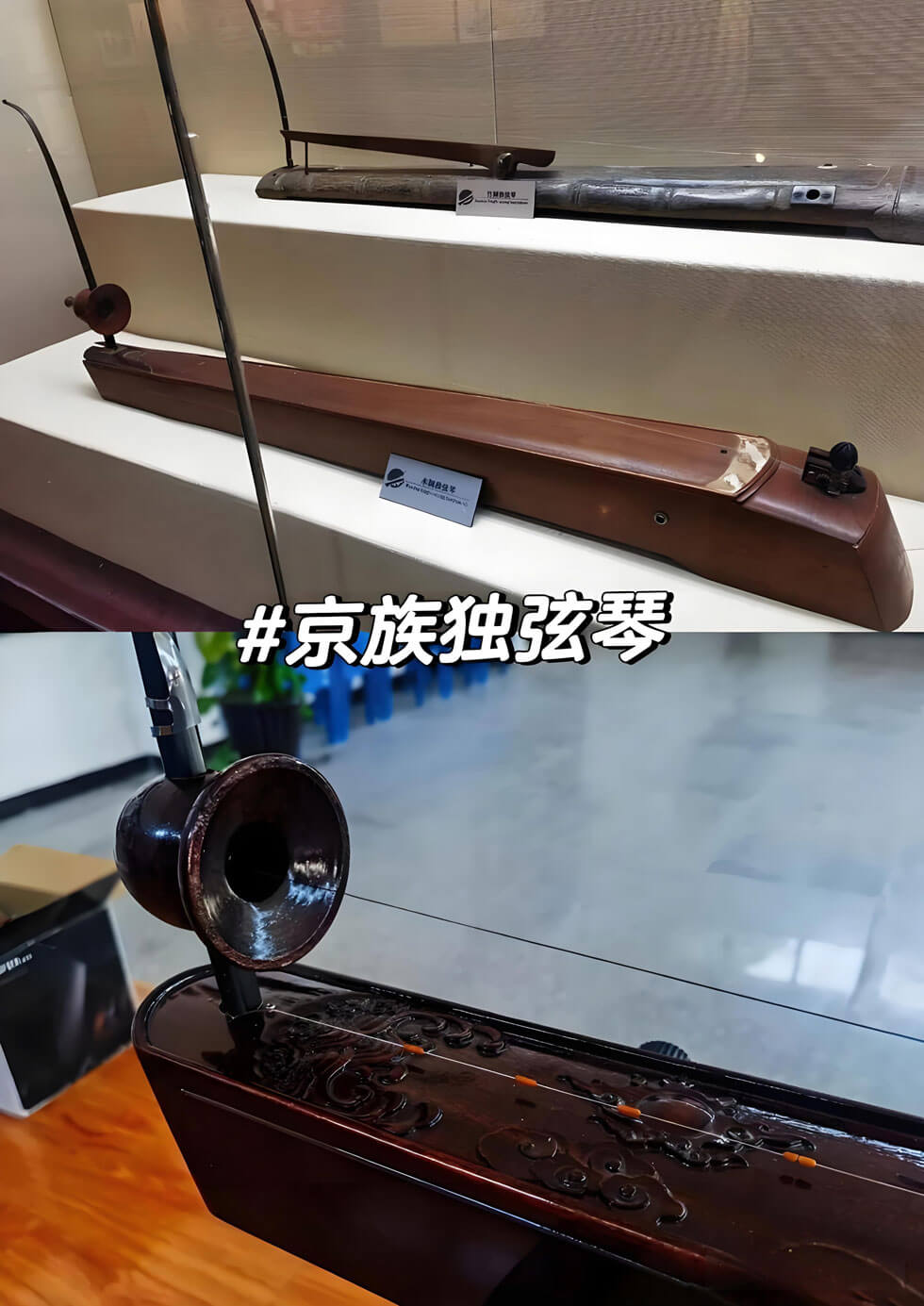 京族独弦琴.jpg