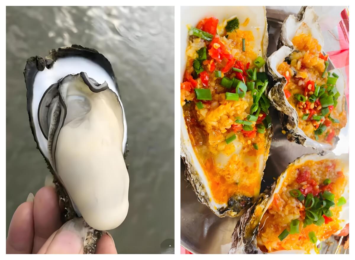 防城港生蚝.jpg