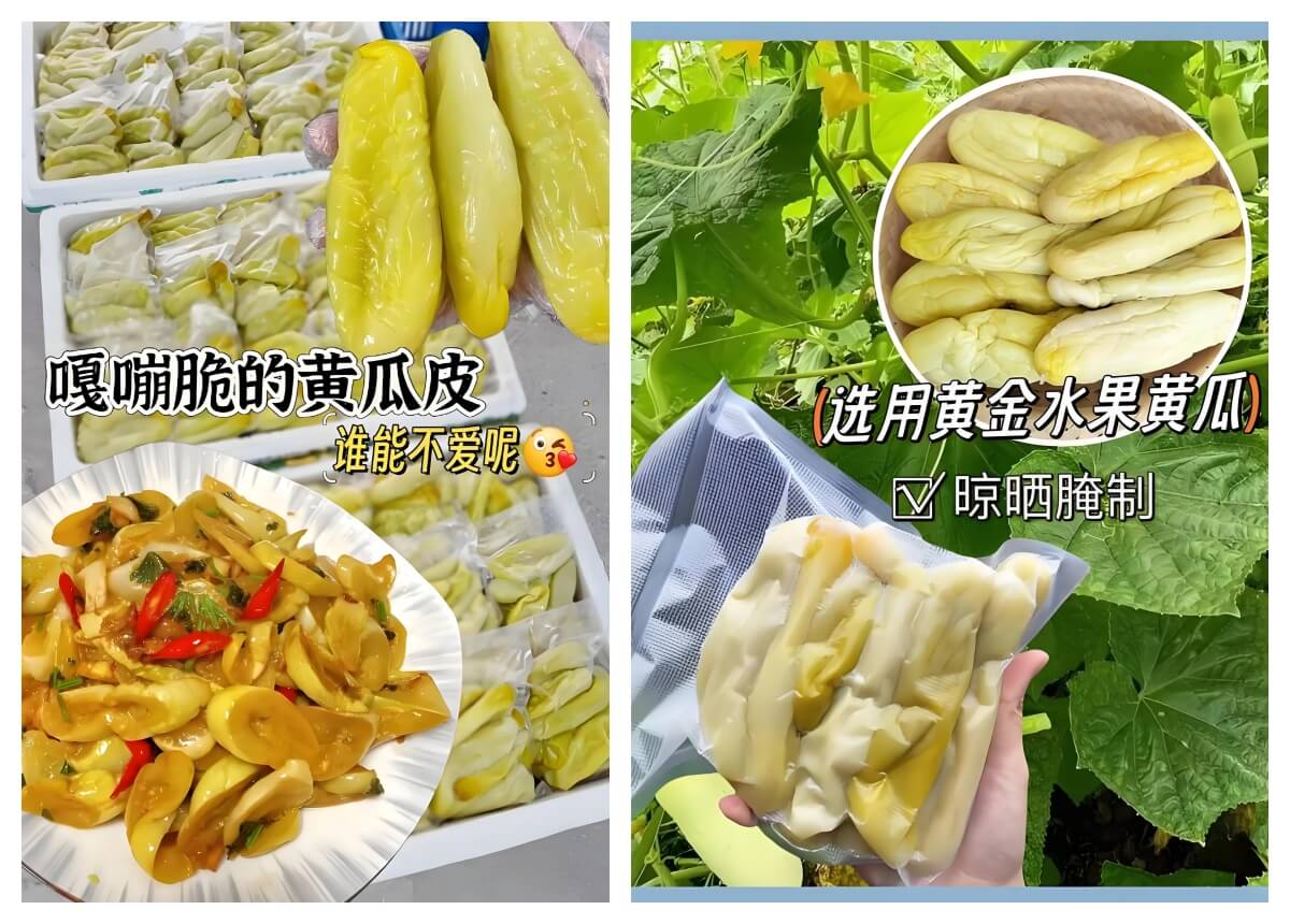 钦州瓜皮.jpg