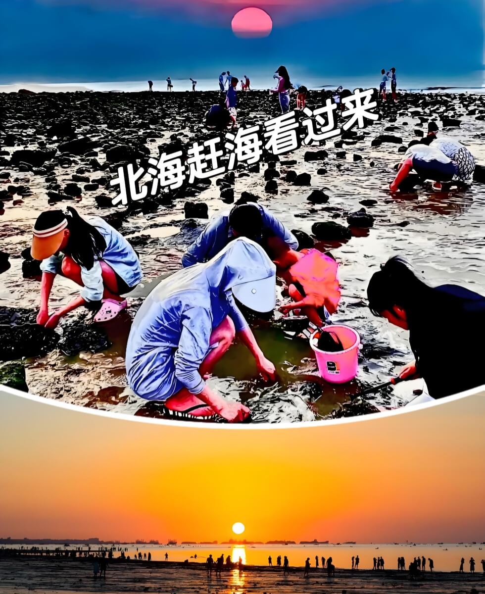 北海赶海.jpg