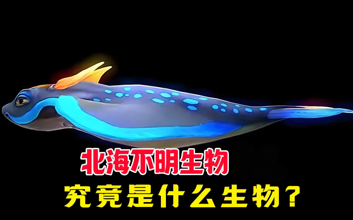 北海不明生物事件.jpg