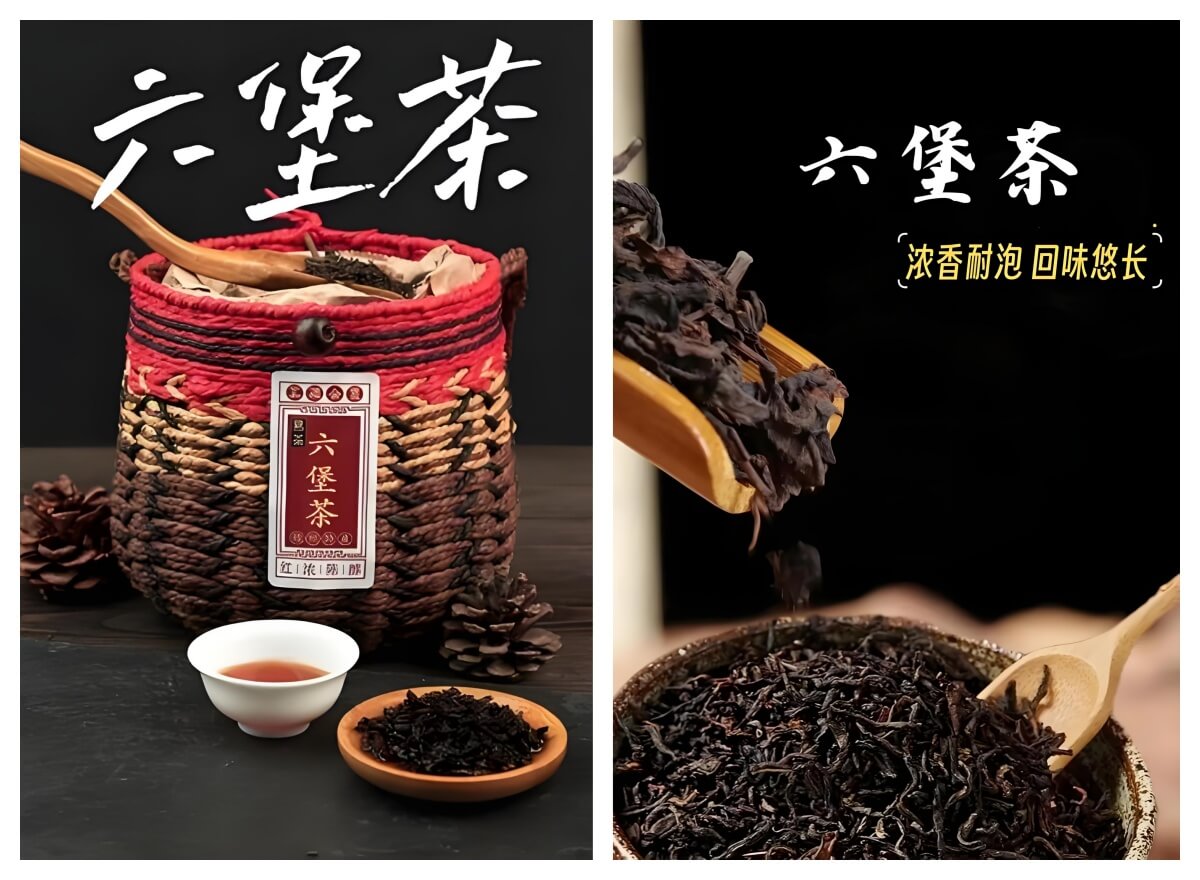 六堡茶.jpg