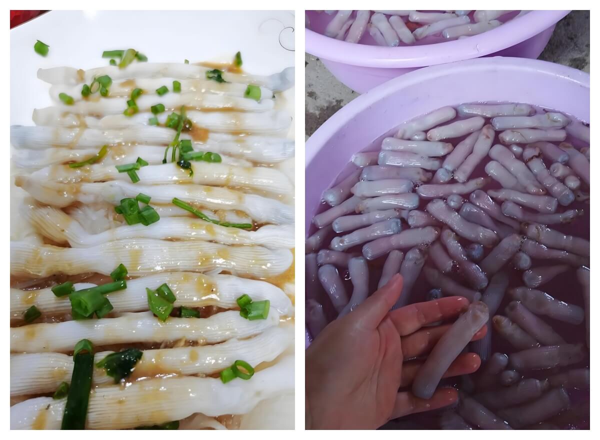 疍家棚蒸沙虫.jpg