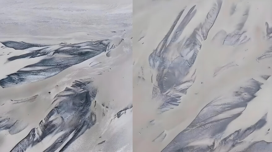 巨鲸地画.jpg