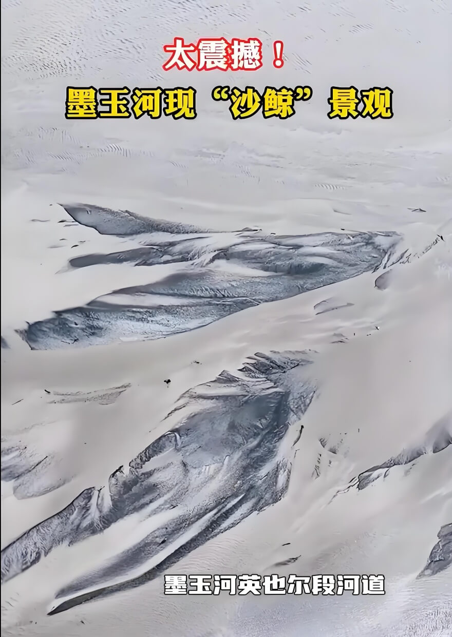 巨鲸地画2.jpg
