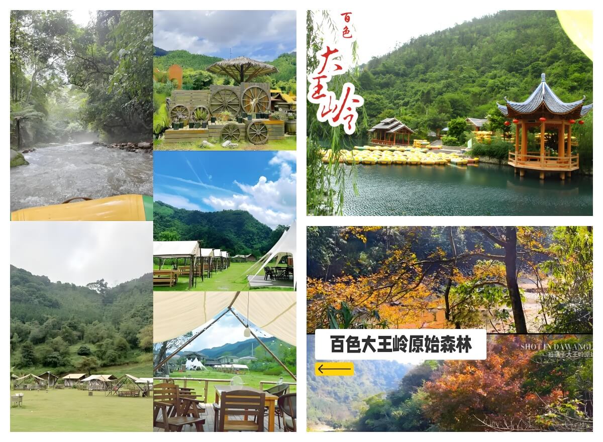 大王岭原始森林.jpg