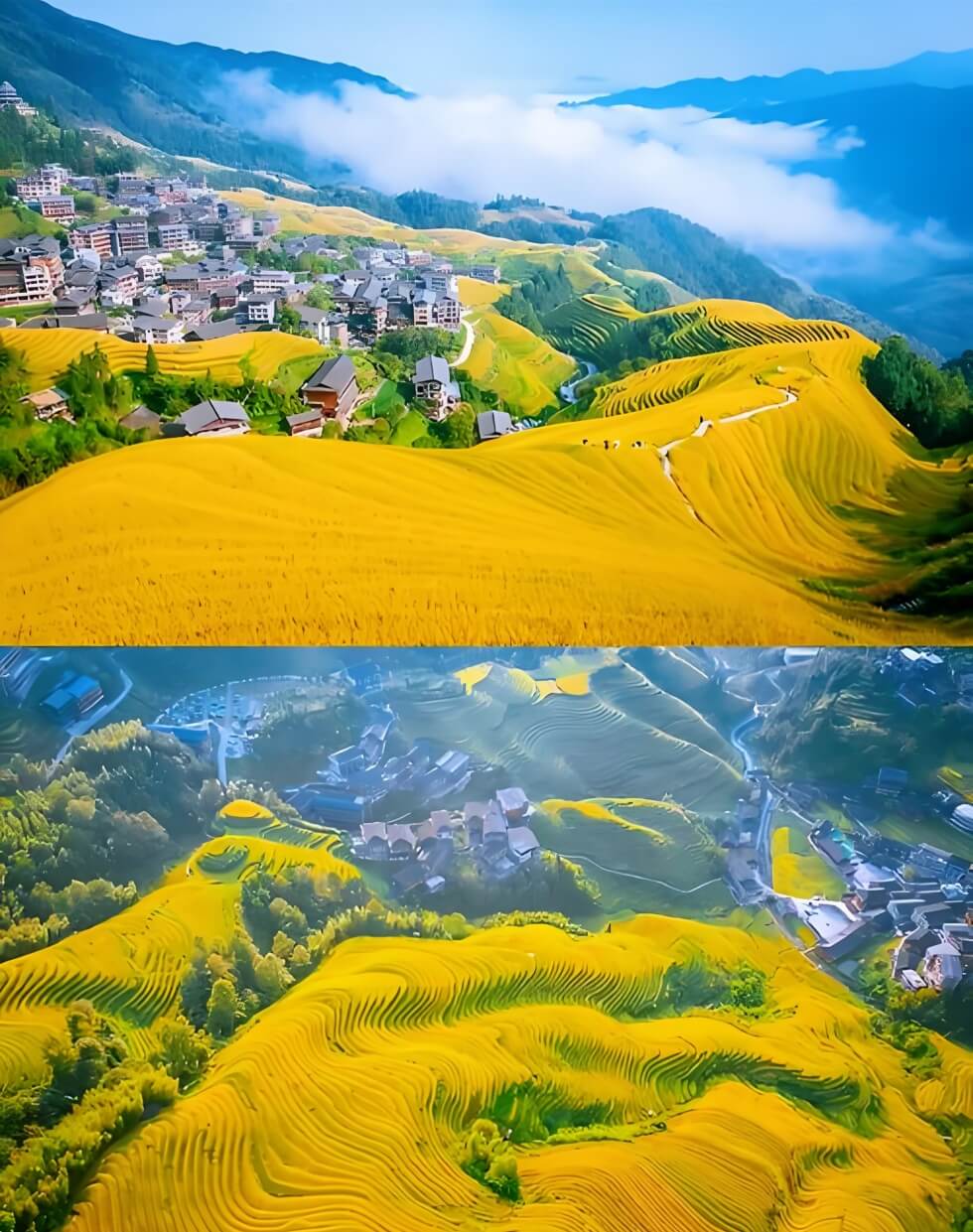 桂北龙脊梯田.jpg