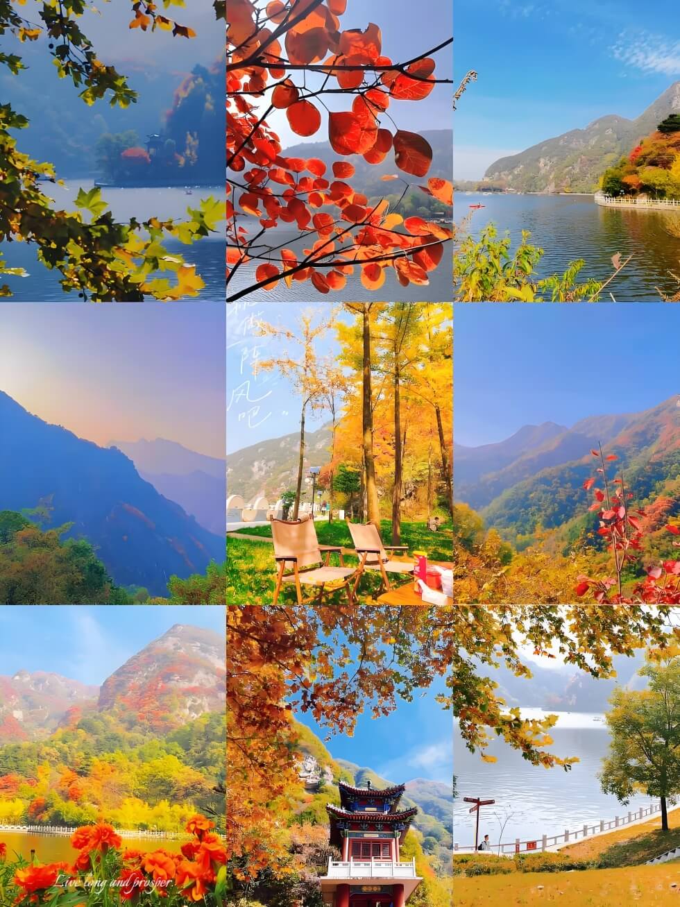 陕西华山.jpg