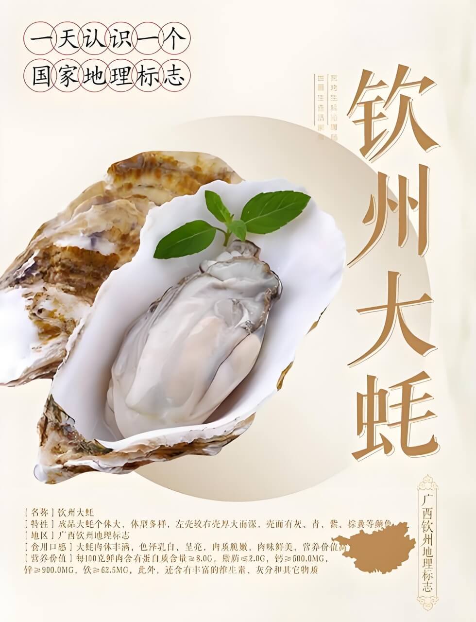 钦州大蚝.jpg