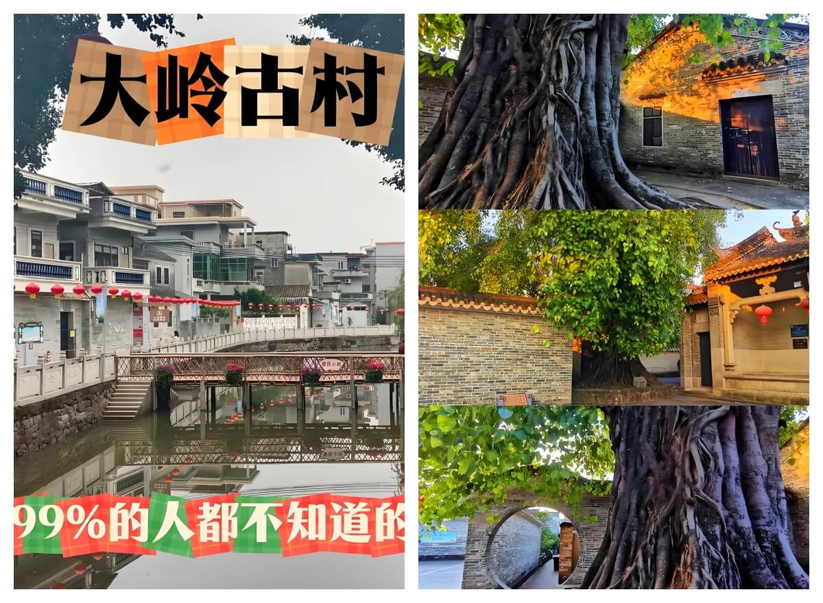 大岭村乡村旅游景区.jpg