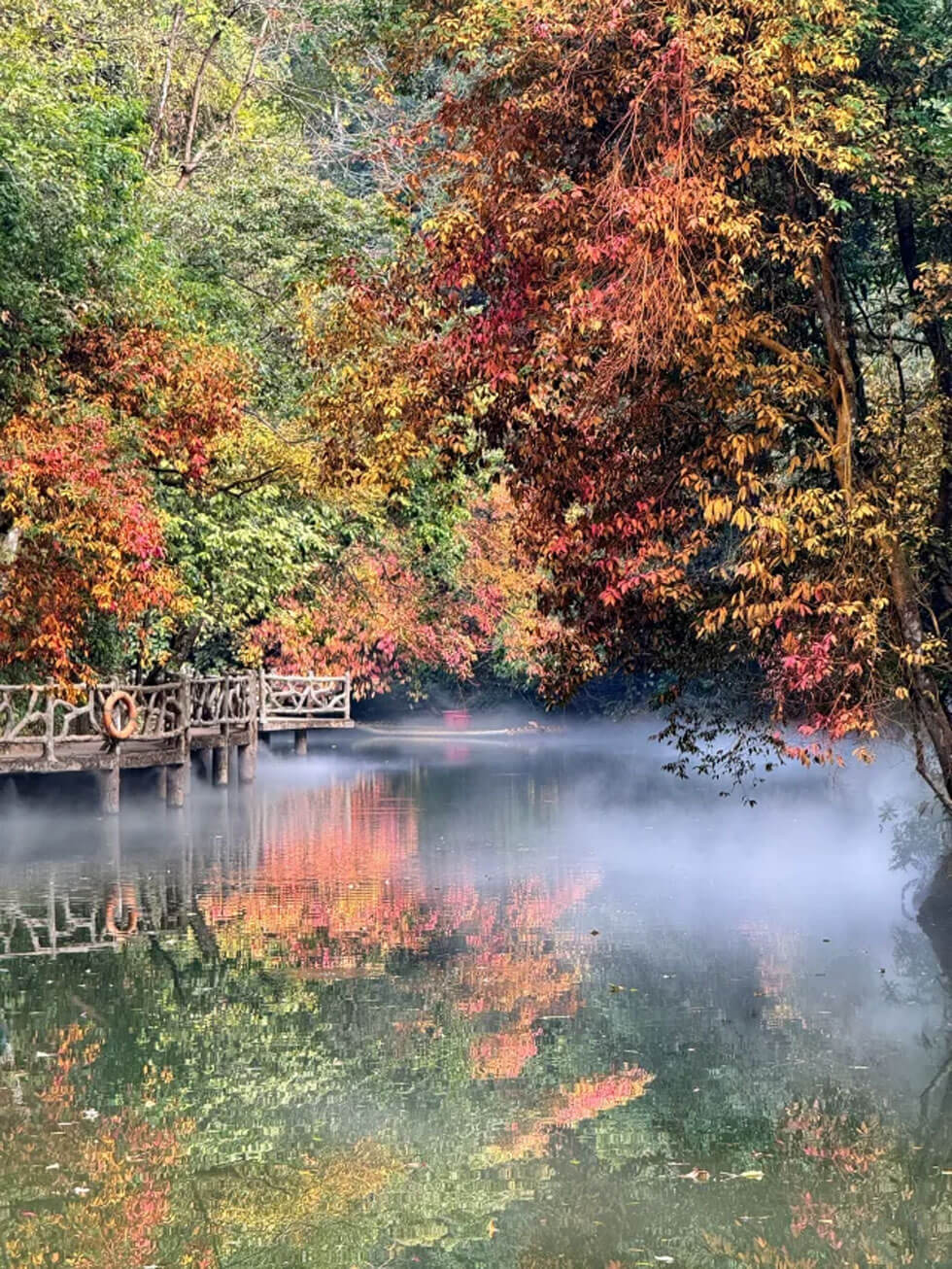 双龙沟 | 享有"天然氧吧"和"仙草博物馆"的美誉