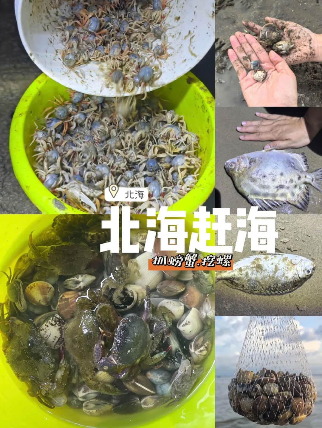 北海体验赶海.jpg