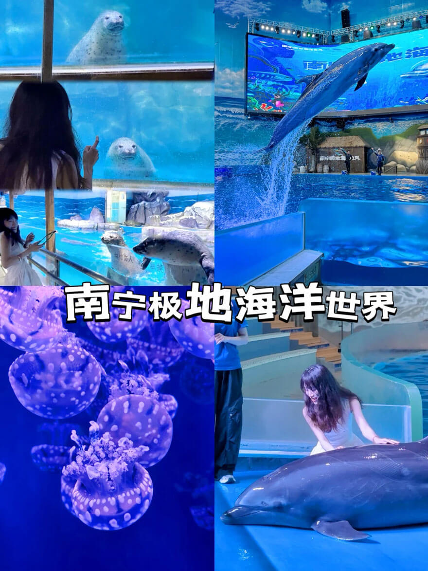 南宁极地海洋世界 | 大型室内海洋主题公园