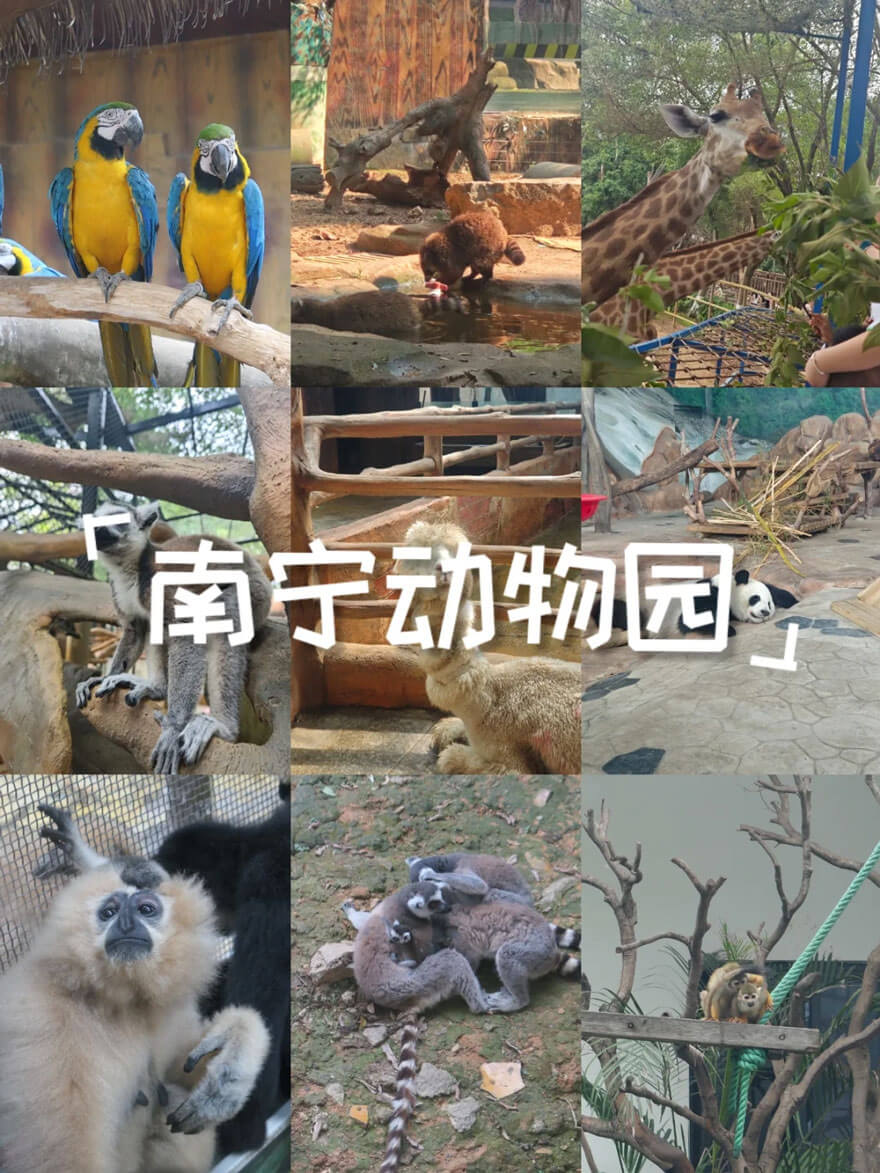 南宁动物园.jpg