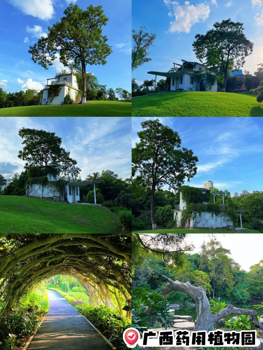 广西药用植物园 | 享有“立体《本草纲目》”和“亚洲第一药园”的美誉