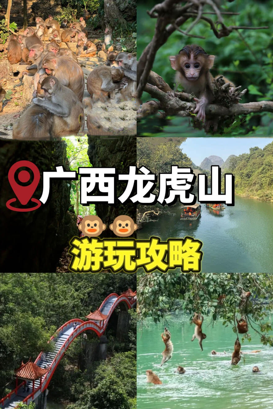 广西龙虎山风景区 | 中国四大猴山之一