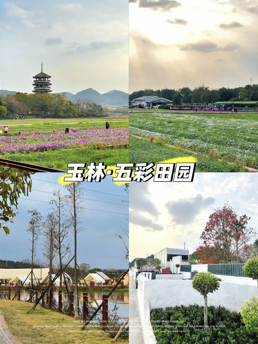 玉林五彩田园景区.jpg