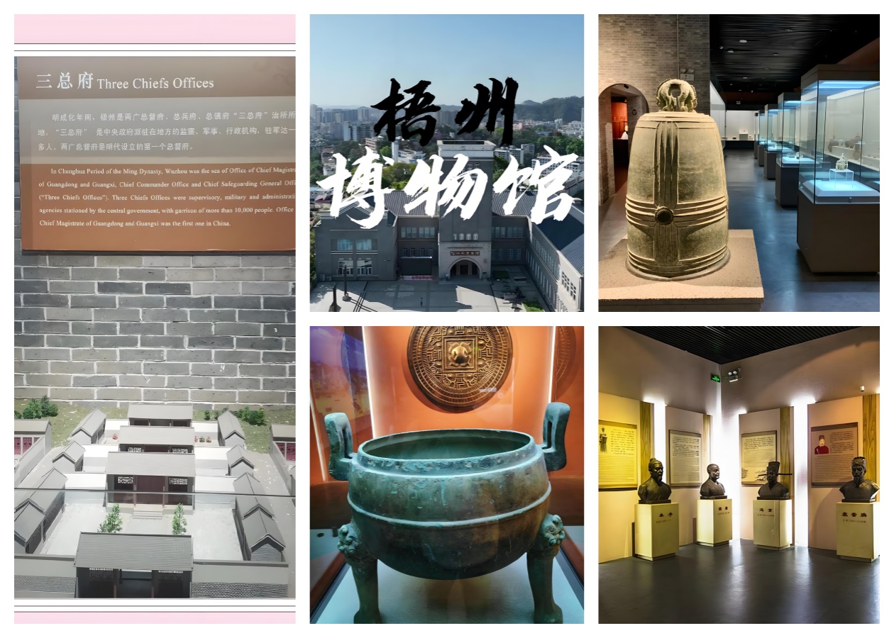 梧州市博物馆.jpg