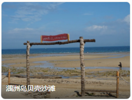 涠洲岛贝壳沙滩|原始海滩 涠洲岛贝壳沙滩|原始海滩
