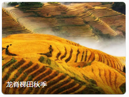 龙脊梯田秋季